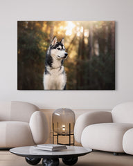 After Hover: Husky im Wald