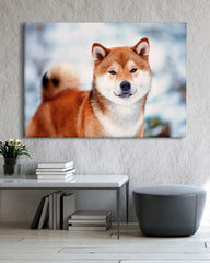 After Hover: Shiba Inu