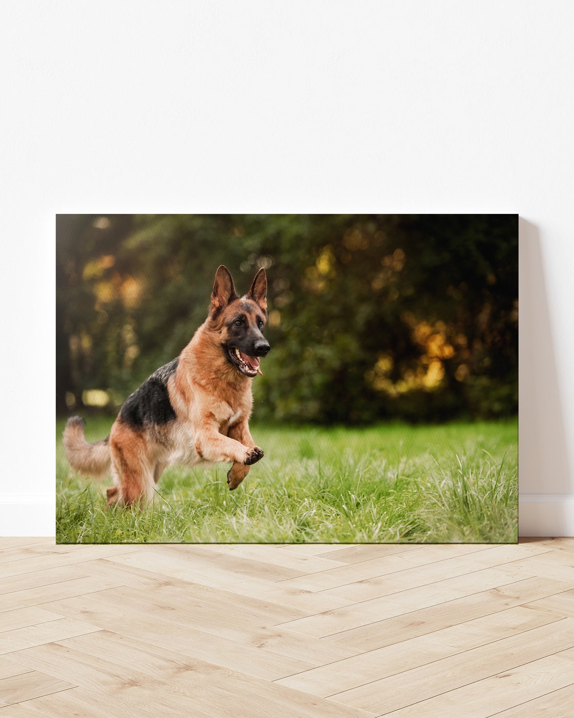 stretched-canvas