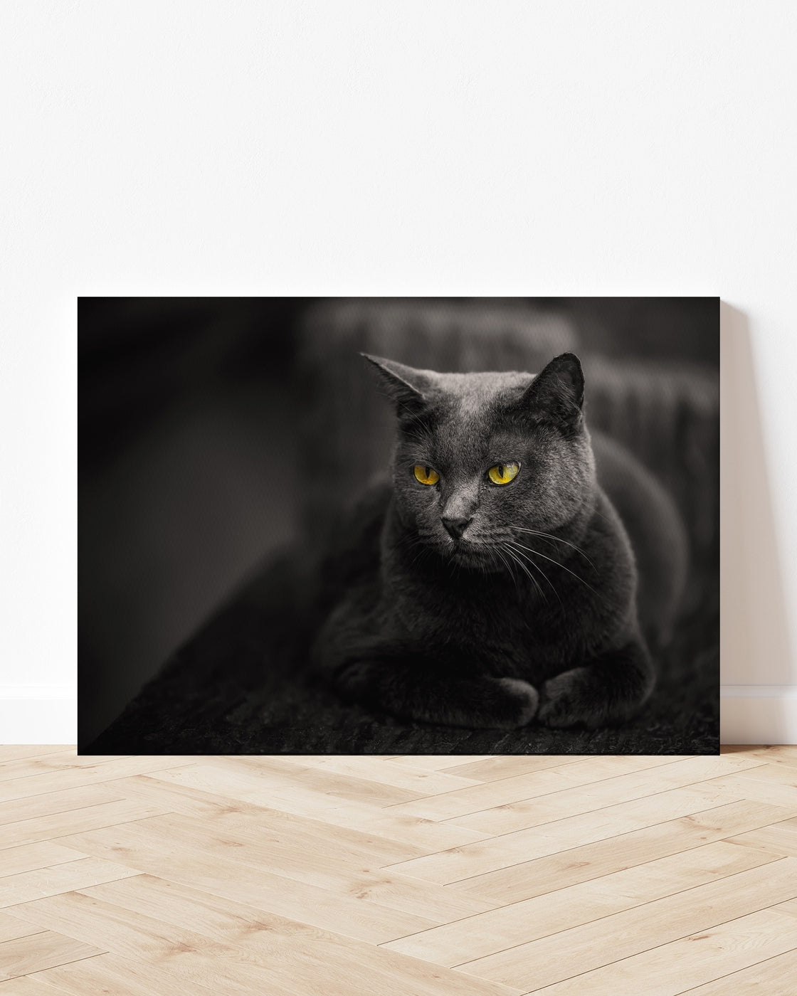 stretched-canvas