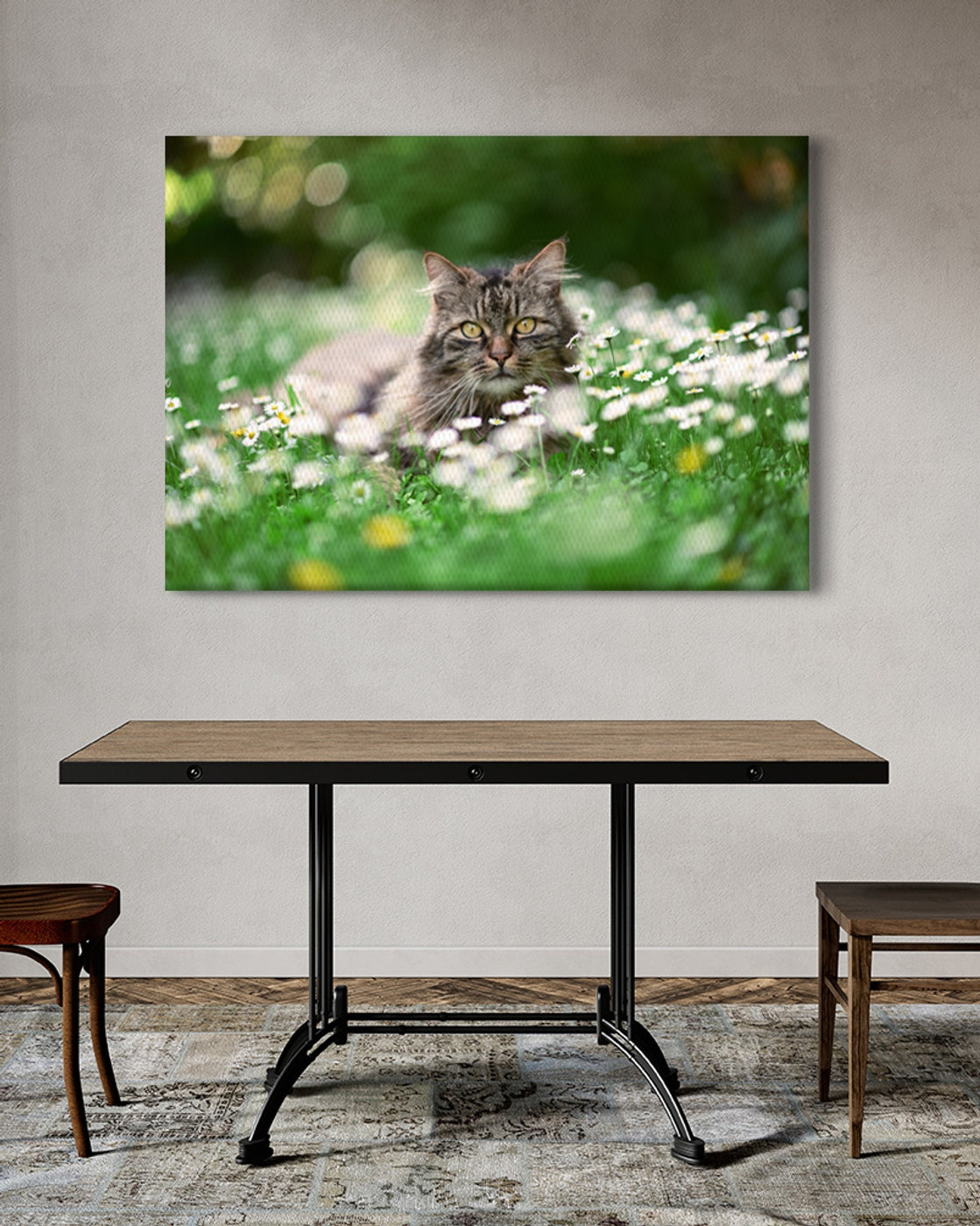 stretched-canvas