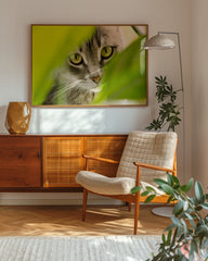 After Hover: Katze - Nahaufnahme