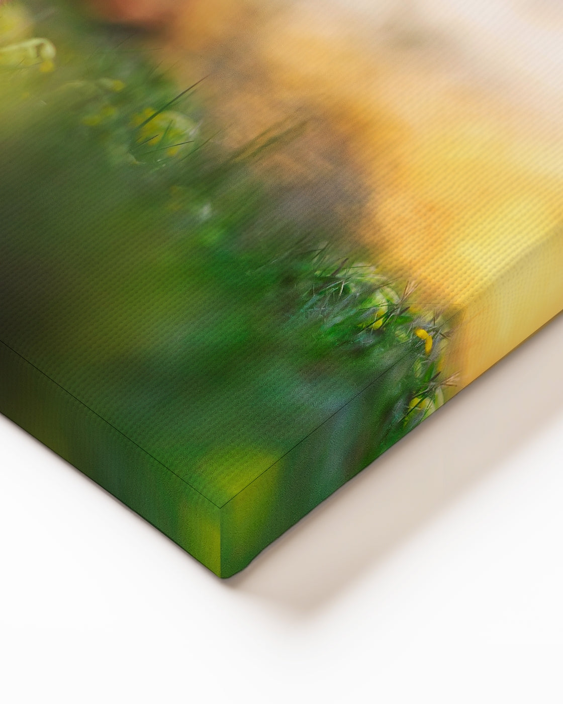 stretched-canvas