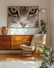 After Hover: Katzen-Augen