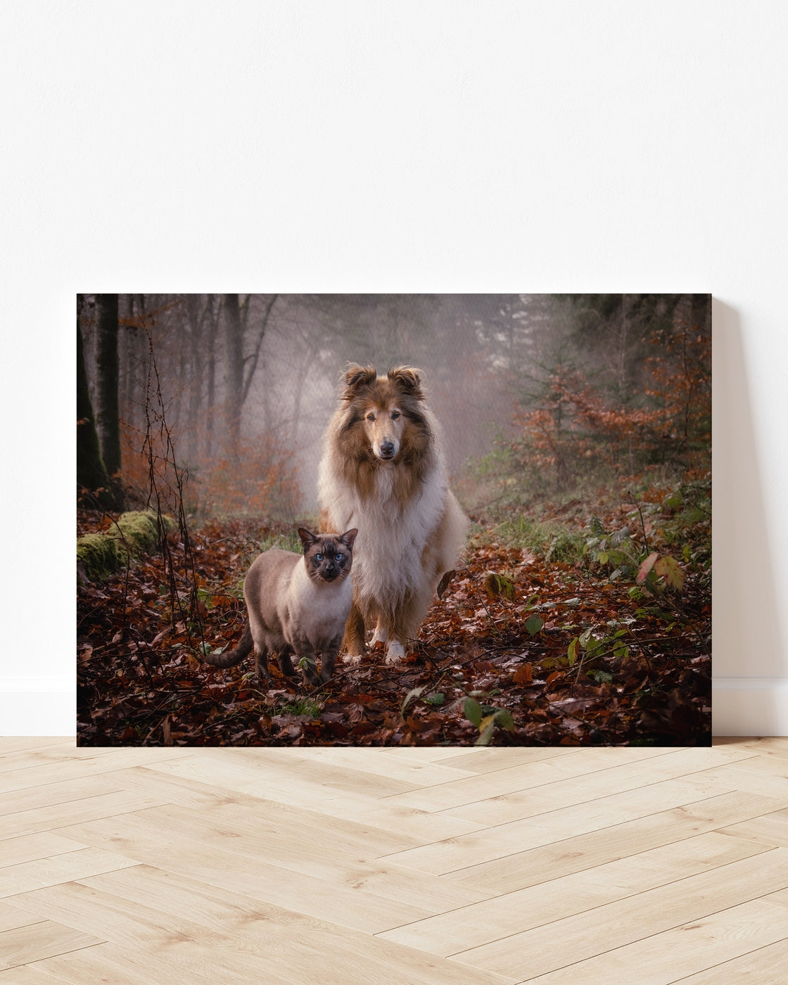 stretched-canvas