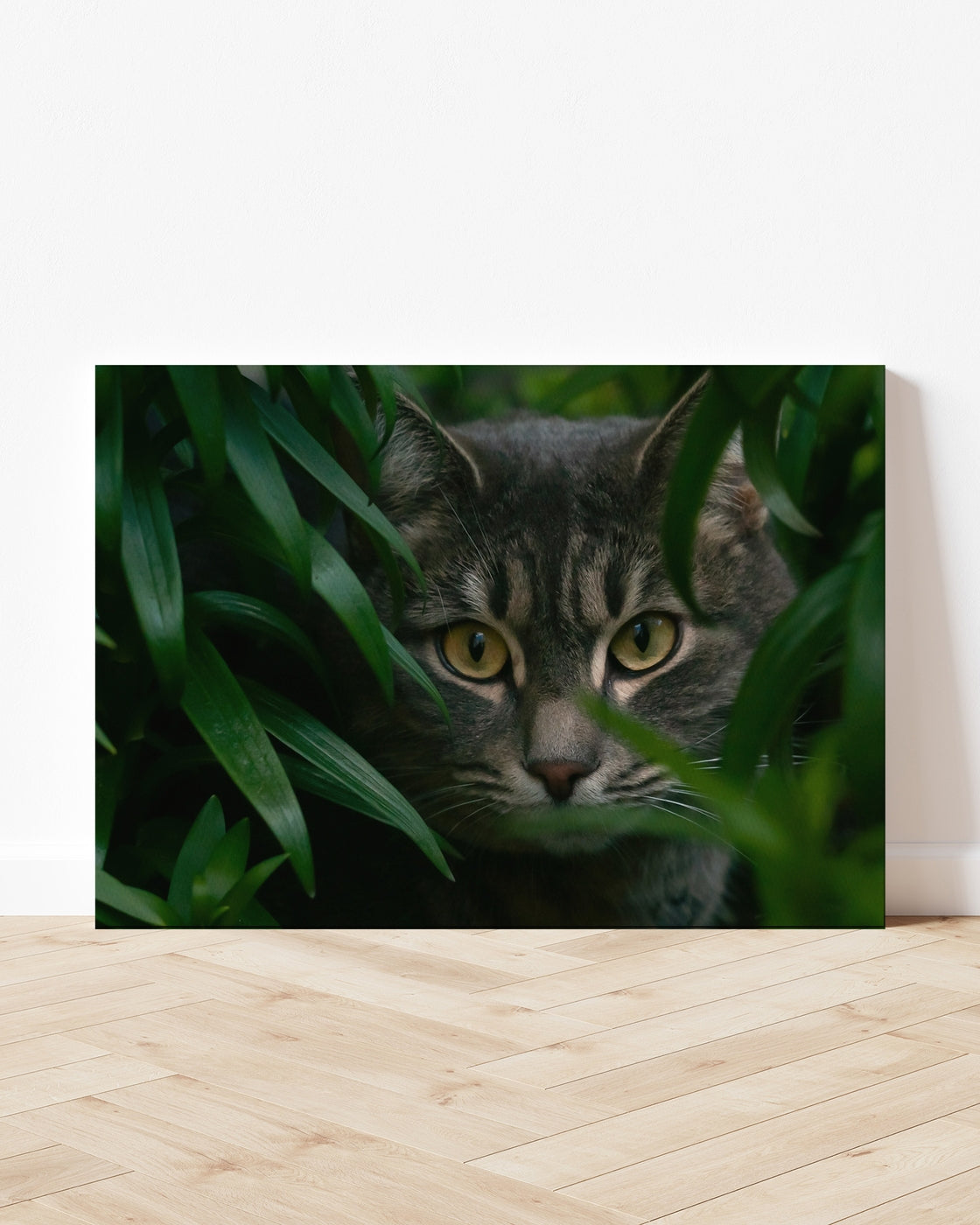 stretched-canvas