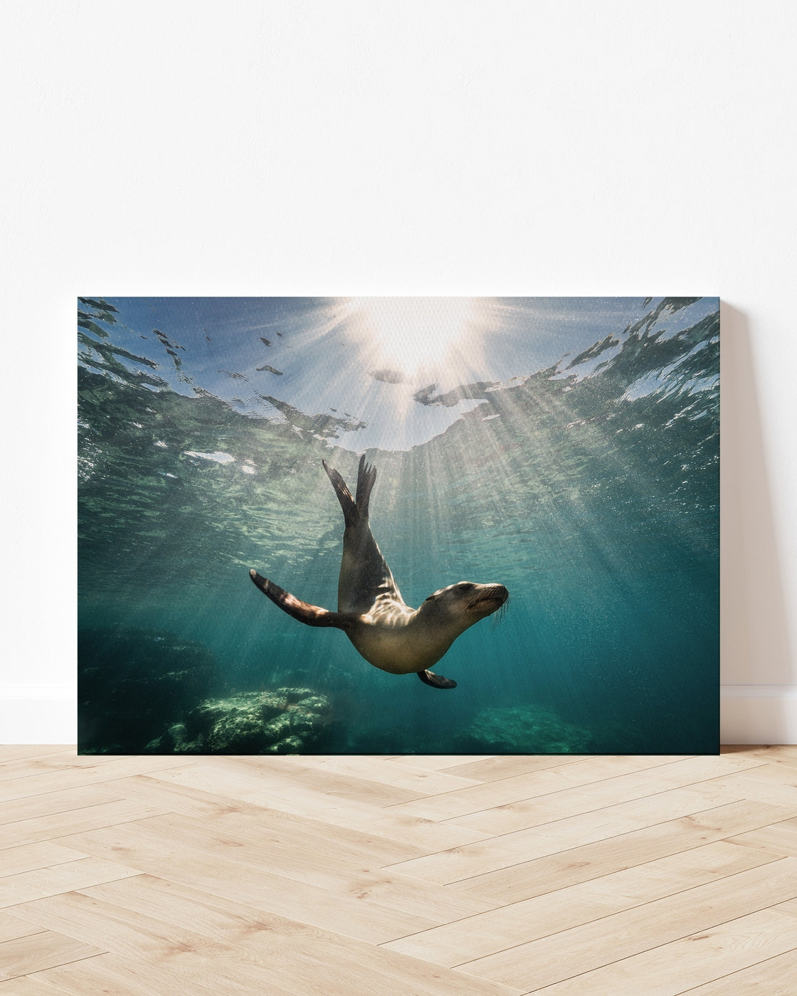 stretched-canvas