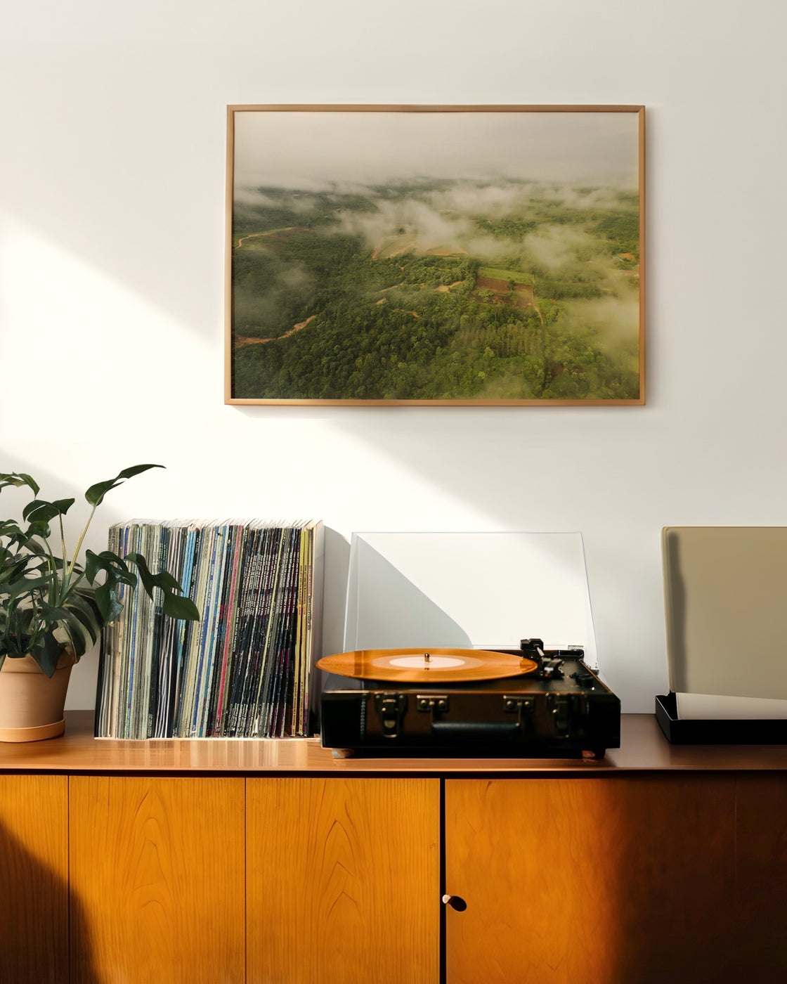 canvas