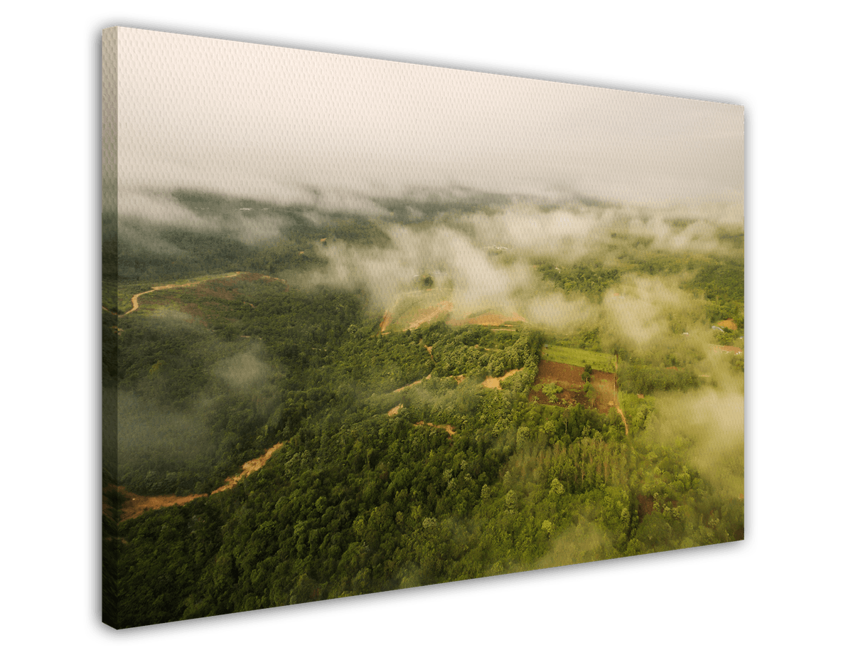 stretched-canvas