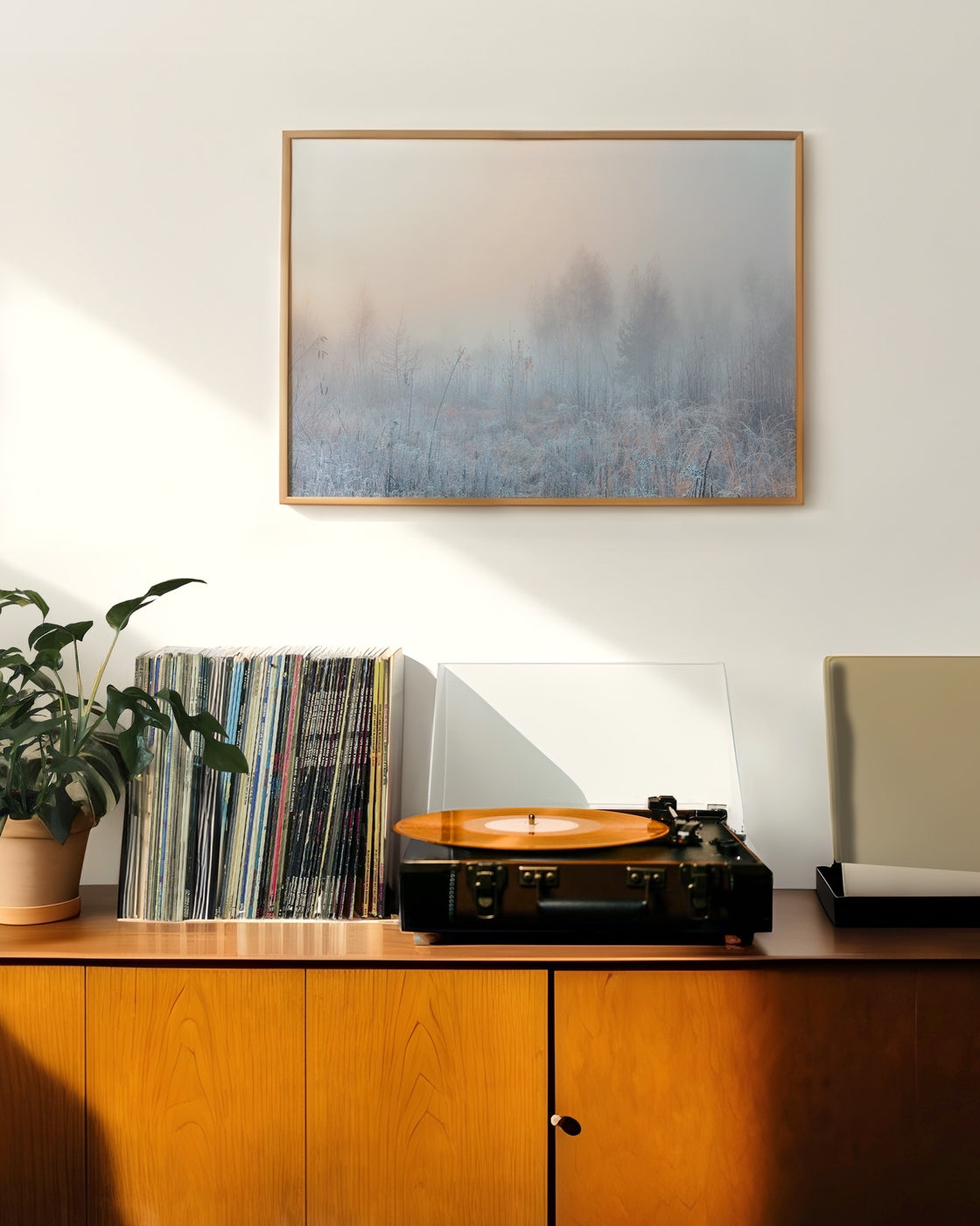 canvas