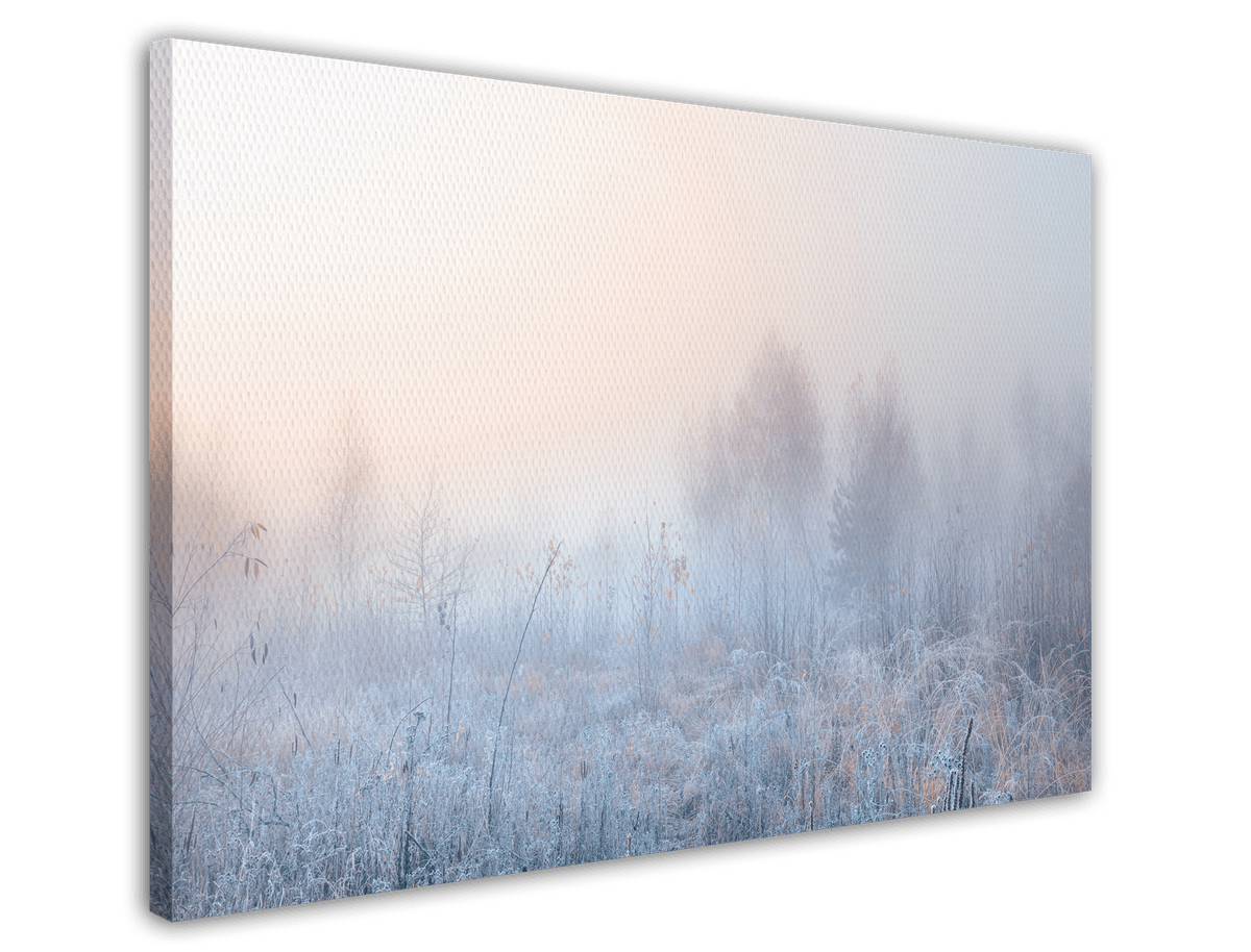 stretched-canvas
