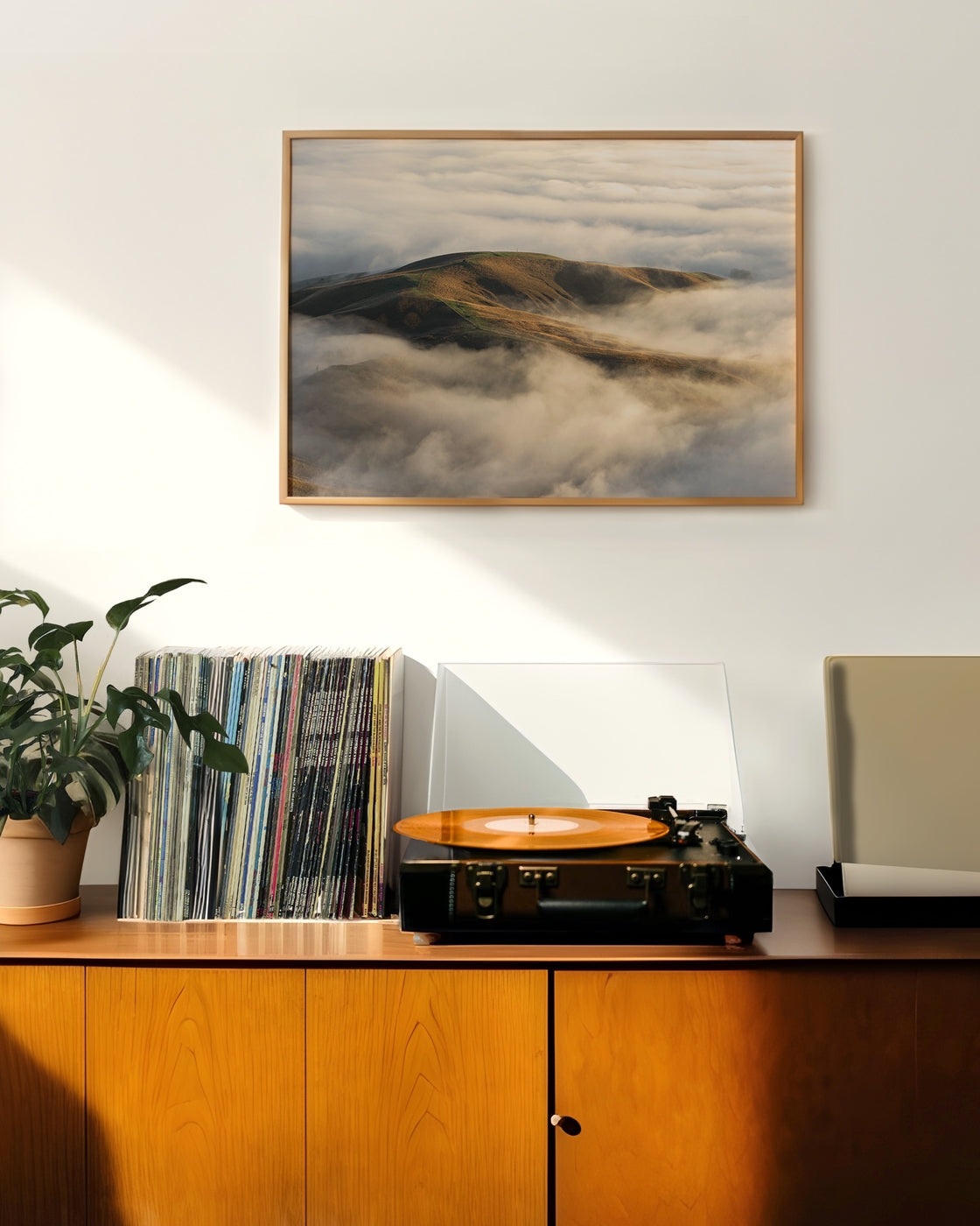 canvas