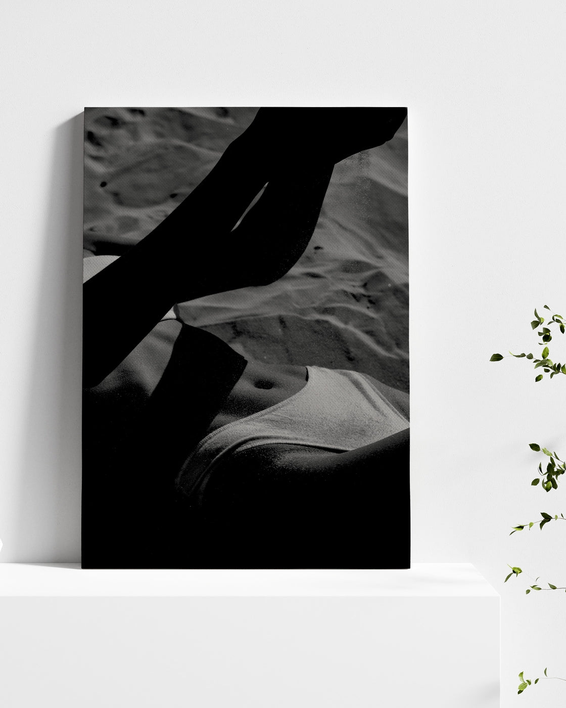 stretched-canvas
