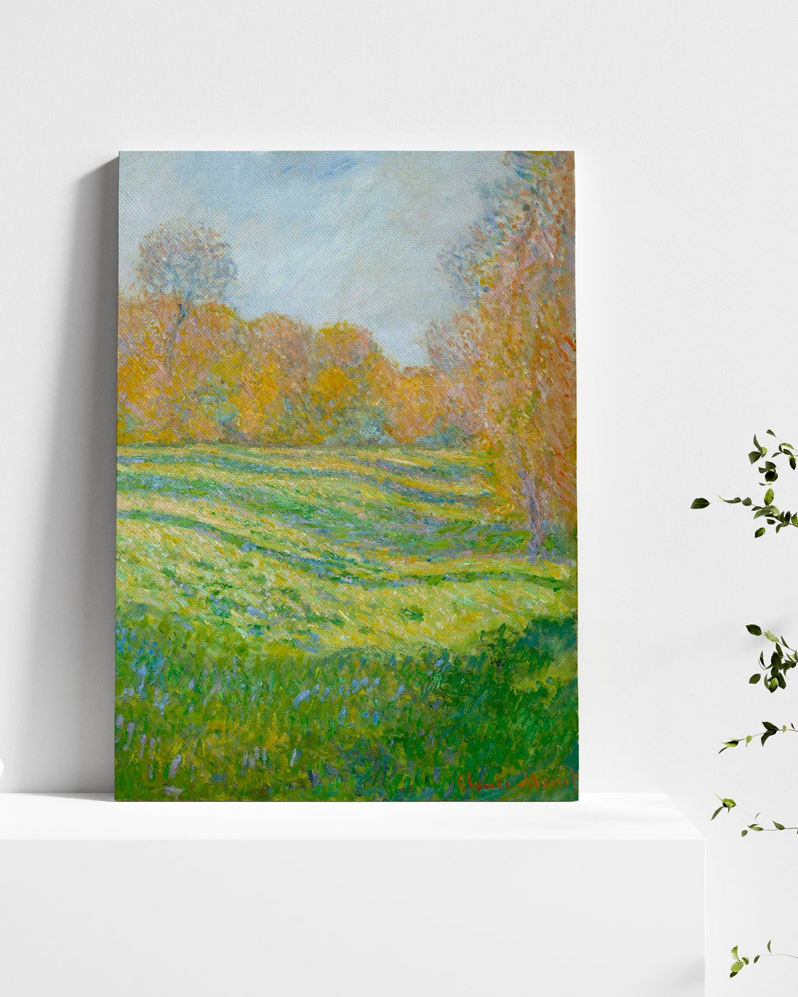 stretched-canvas