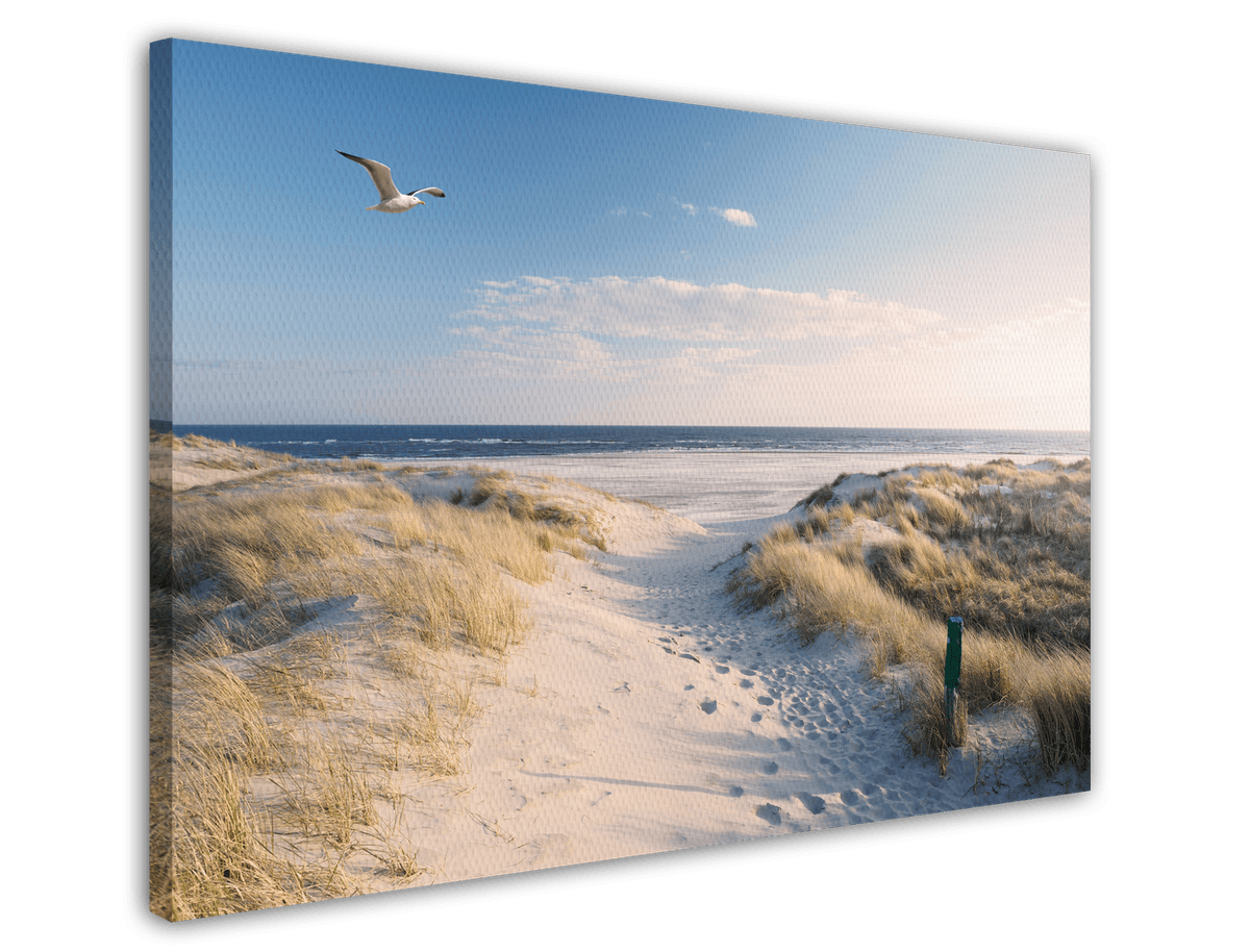 stretched-canvas