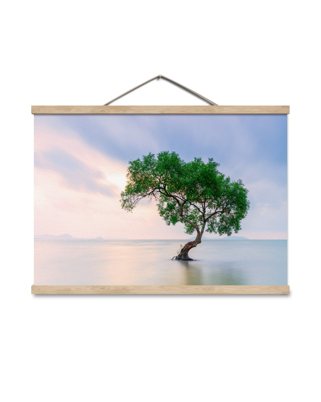 canvas