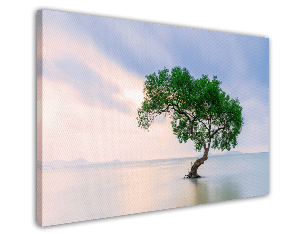 stretched-canvas