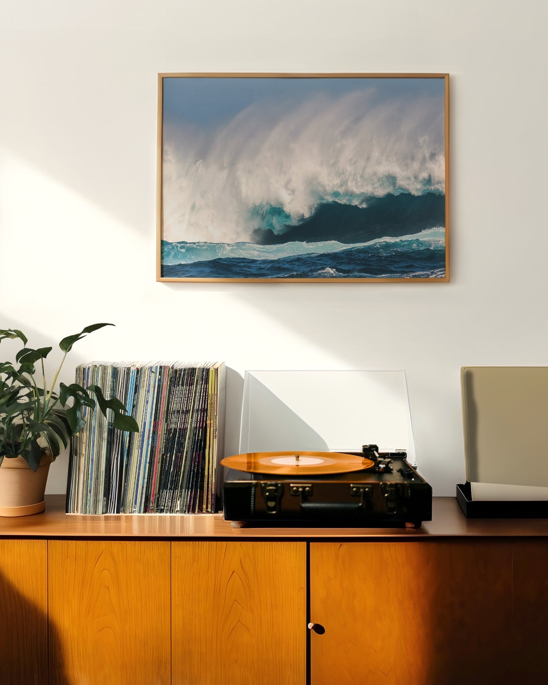 canvas
