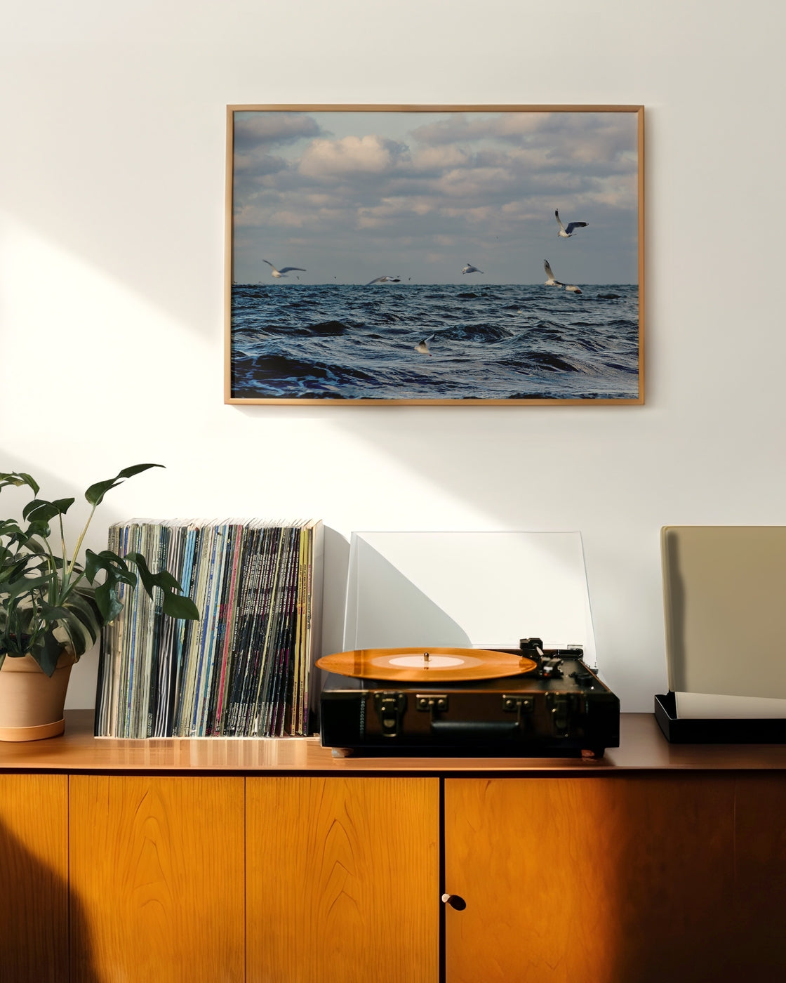 canvas