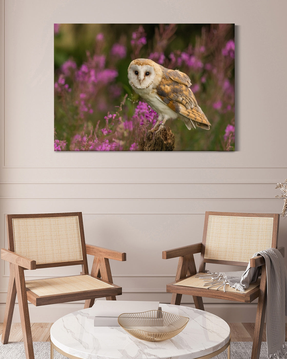 stretched-canvas