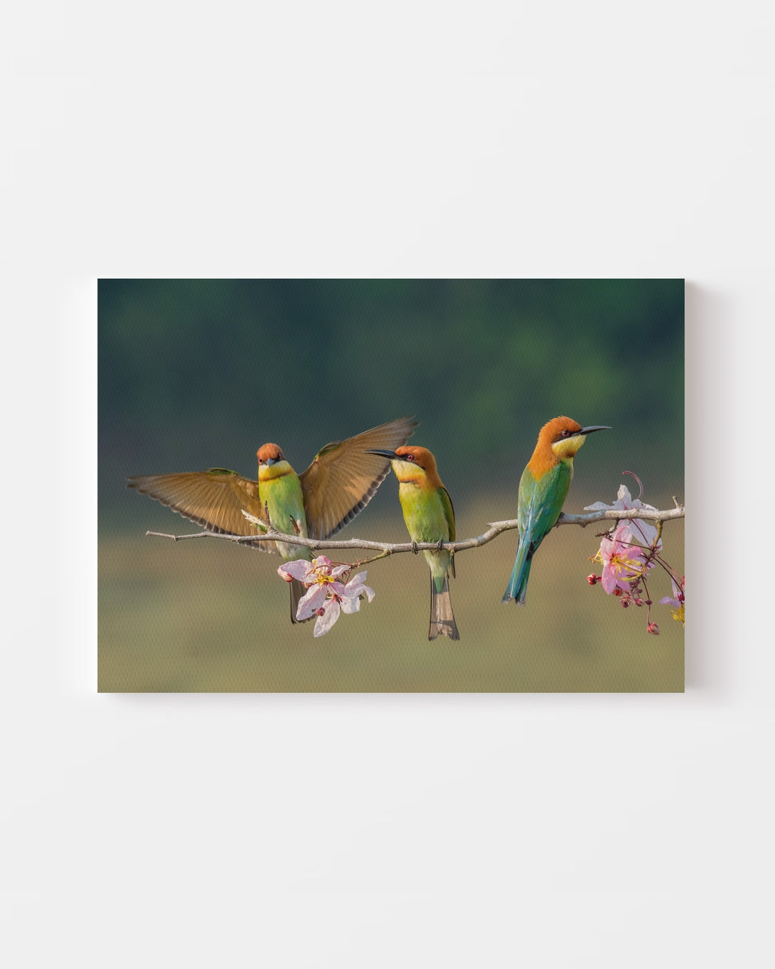 stretched-canvas