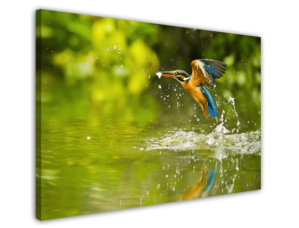 stretched-canvas