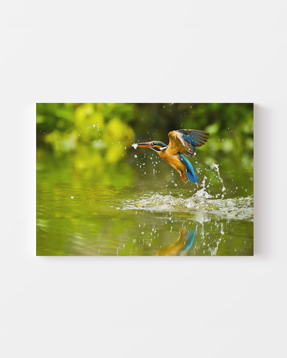 stretched-canvas
