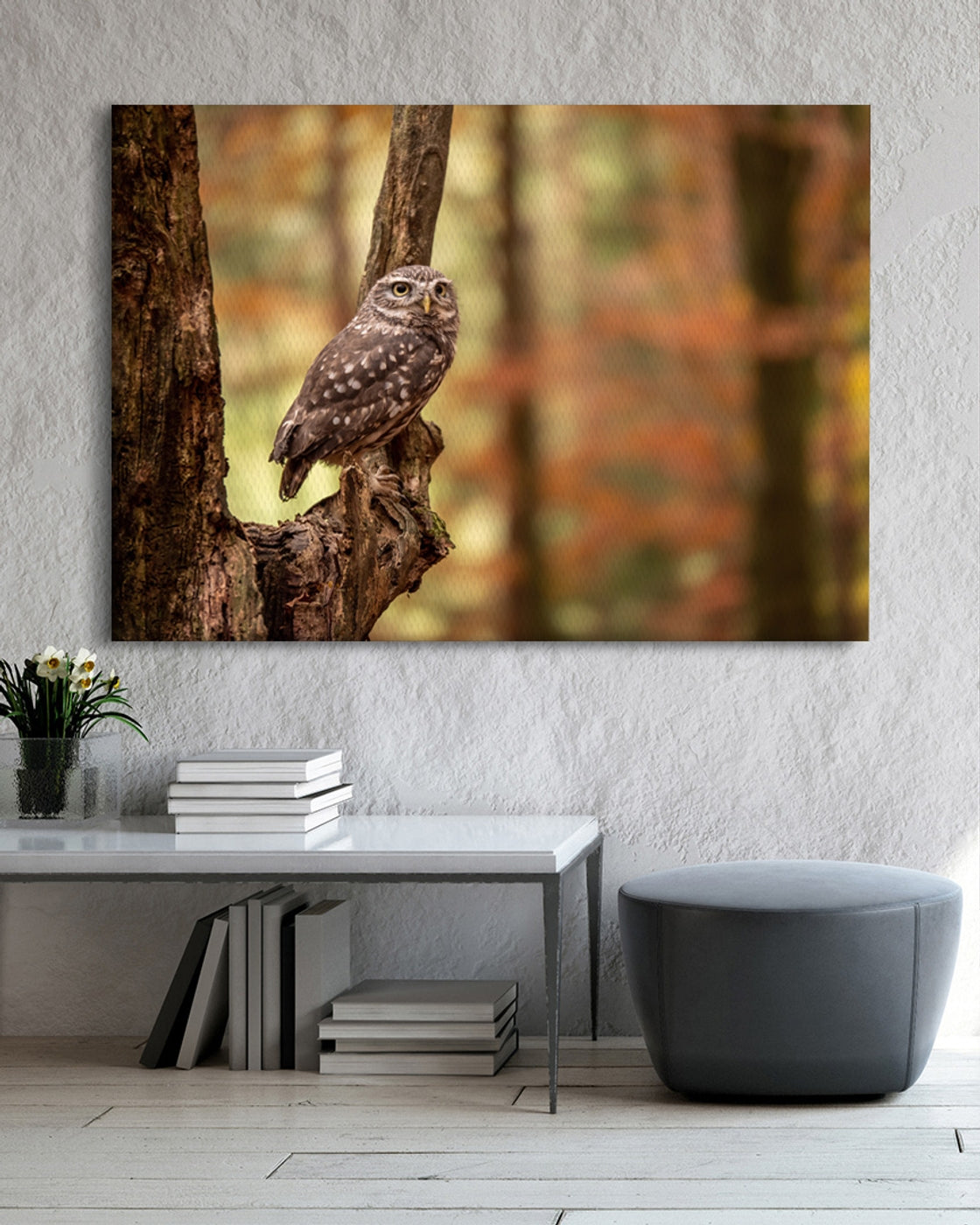 stretched-canvas