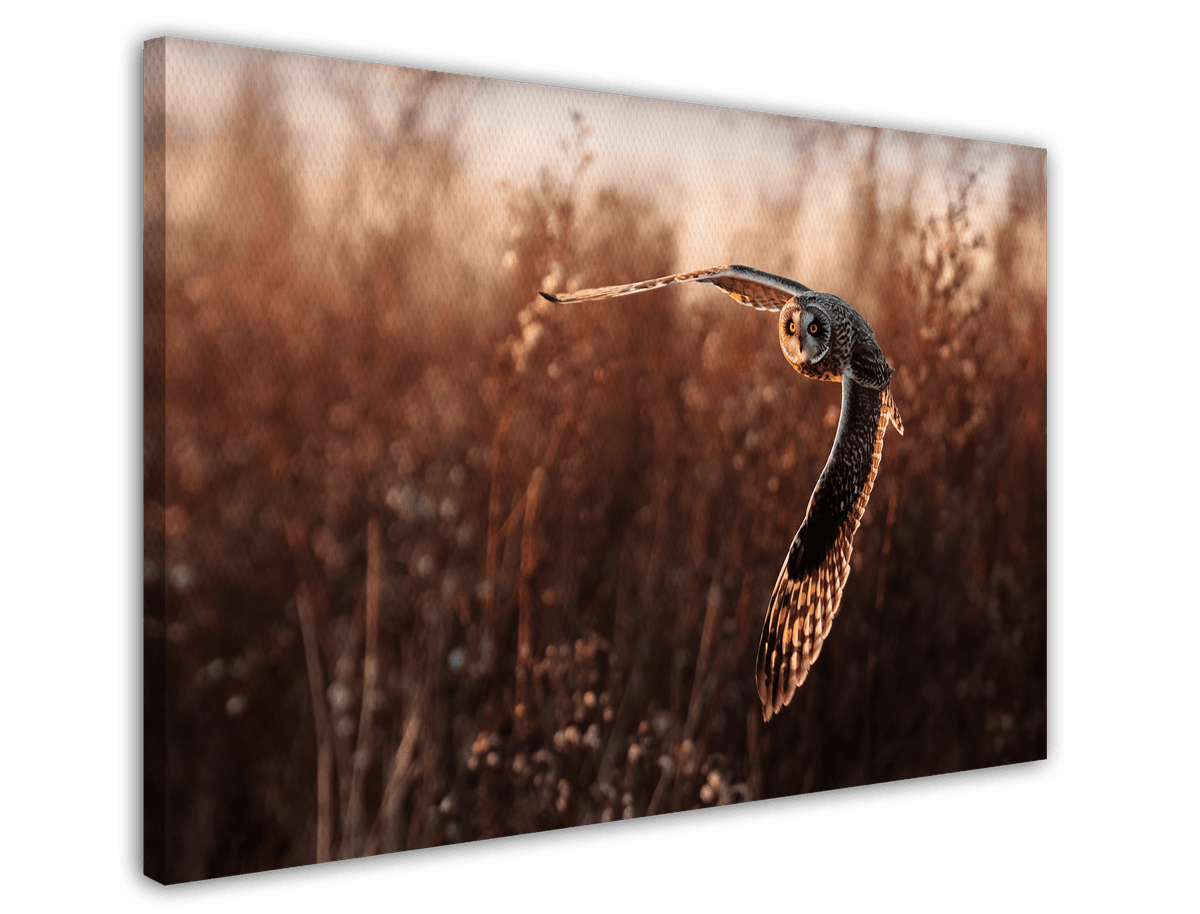 stretched-canvas