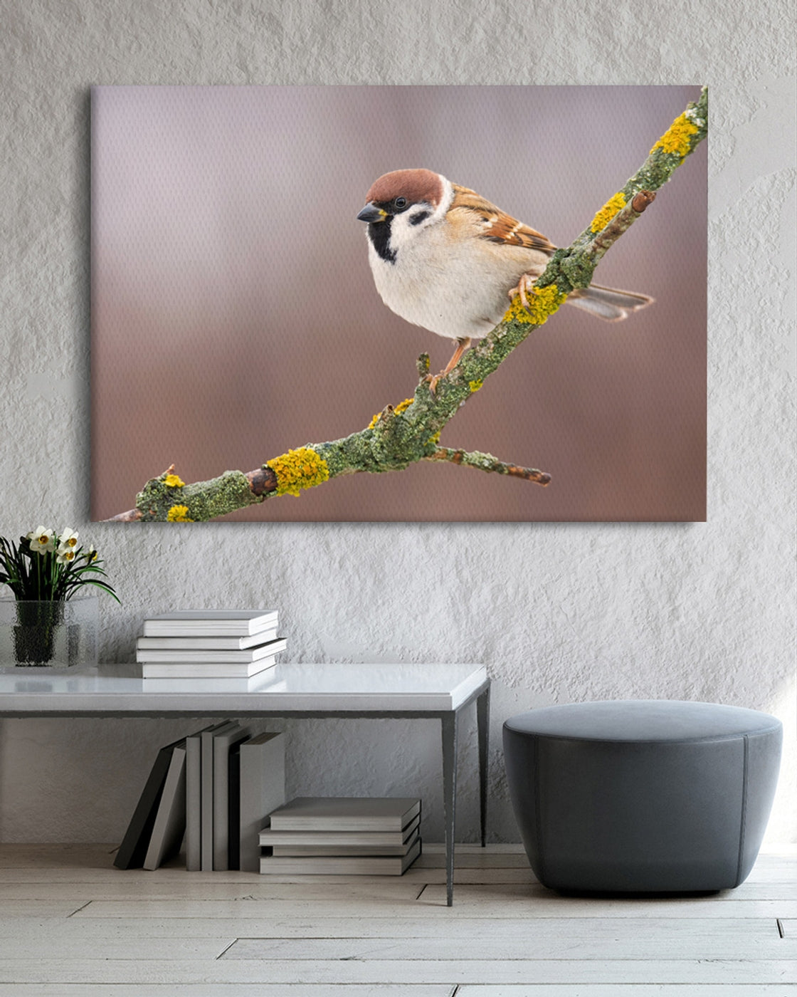 stretched-canvas