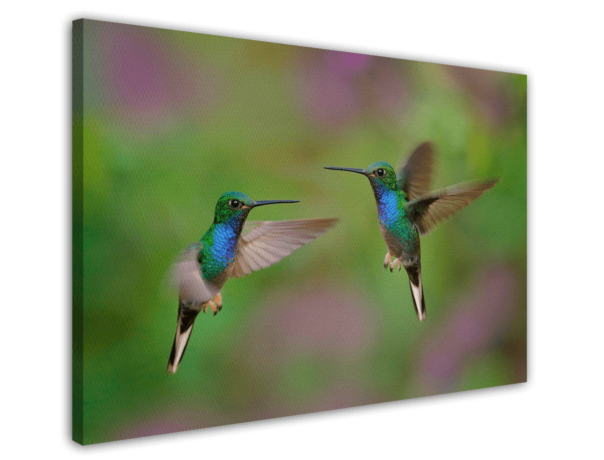 stretched-canvas