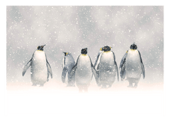 Pinguine im Schnee