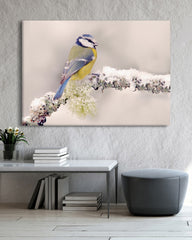 After Hover: Vogel in Winterlandschaft