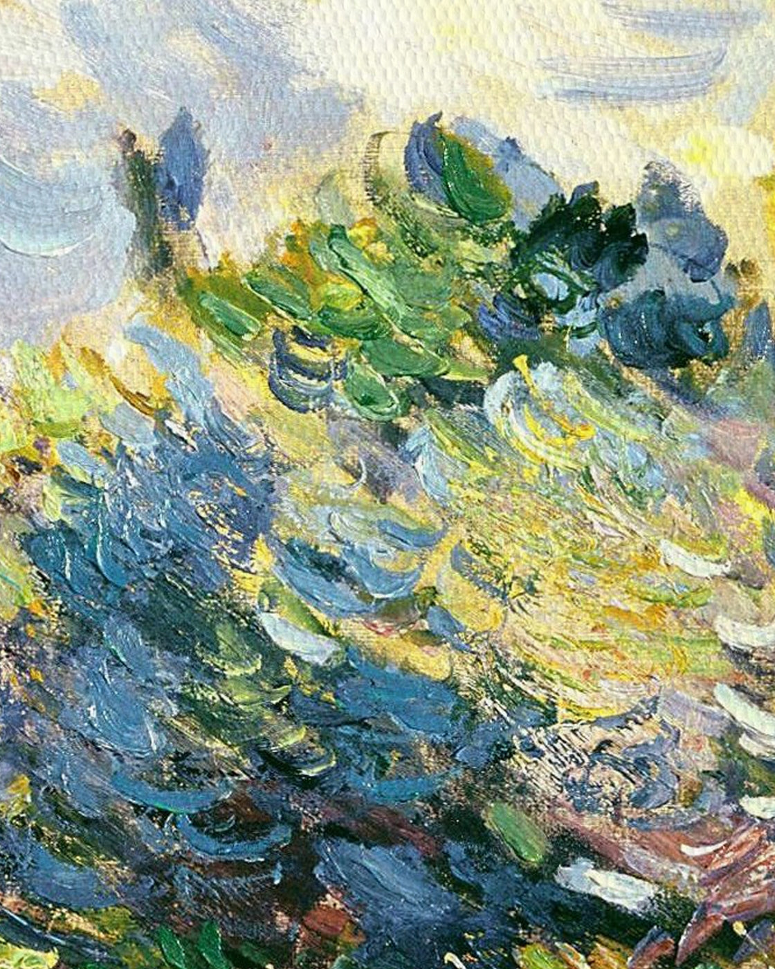 canvas