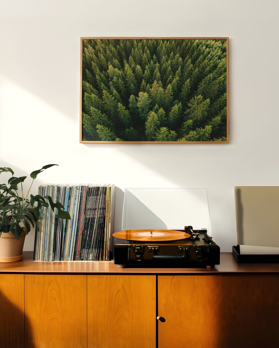 canvas