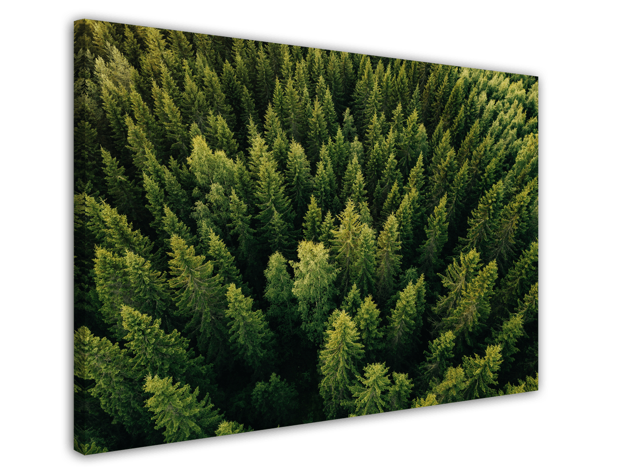 stretched-canvas