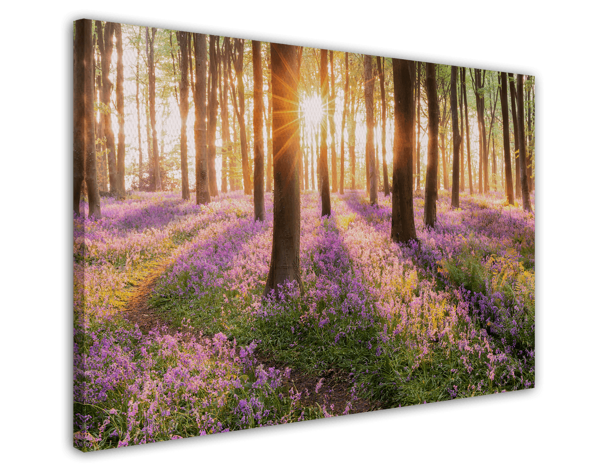 stretched-canvas