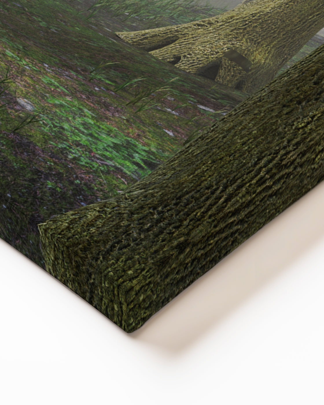 stretched-canvas
