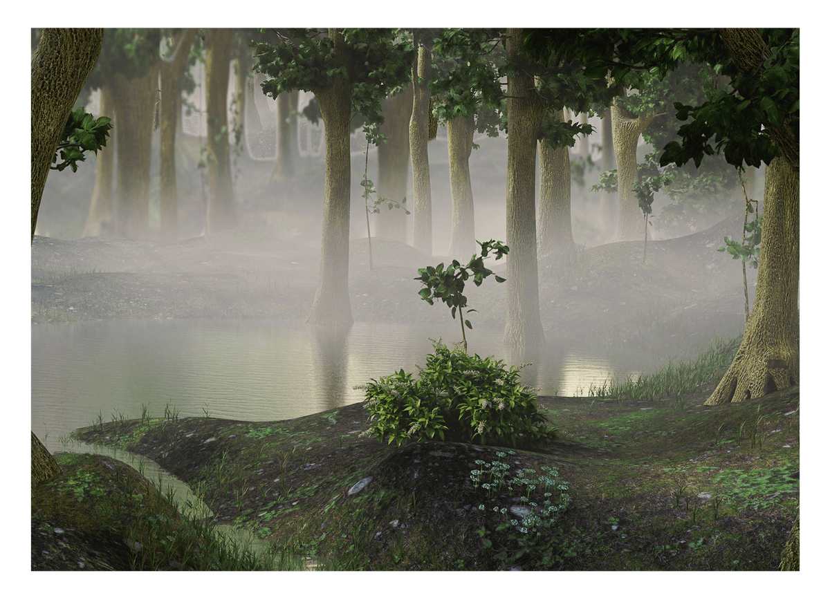 Nebel am Waldsee - Mystisches Naturschauspiel