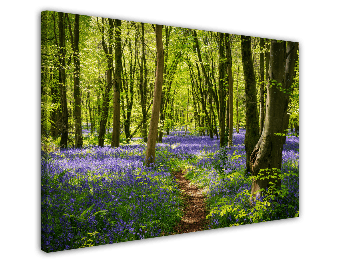 stretched-canvas