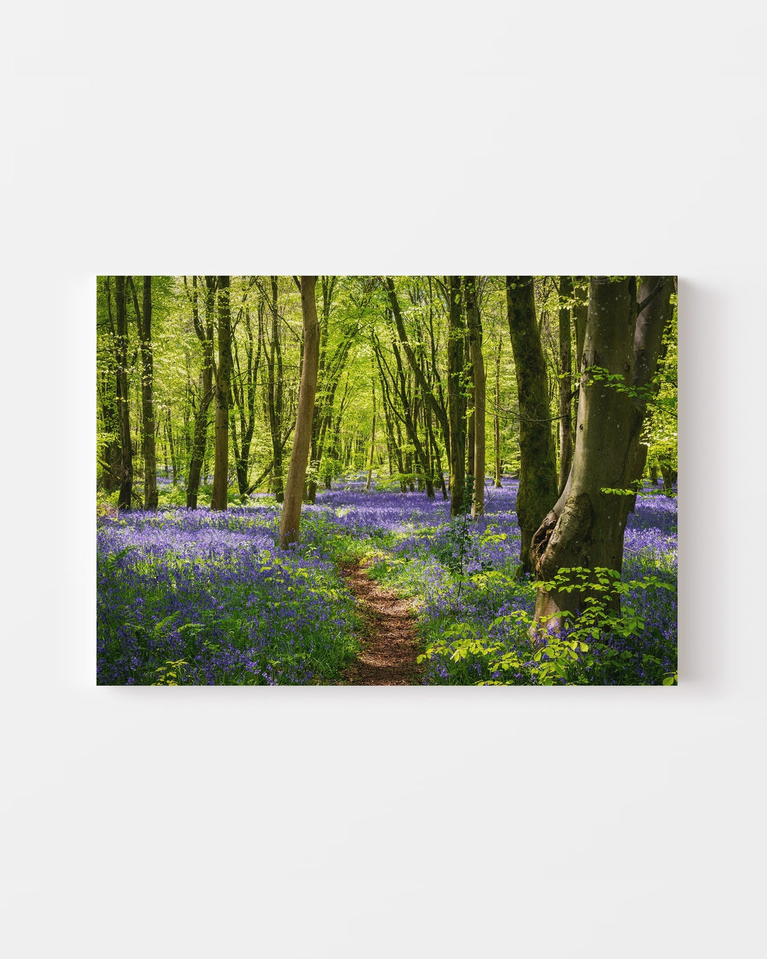 stretched-canvas
