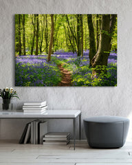 After Hover: Violette Blumen im Wald - Natur Fotografie