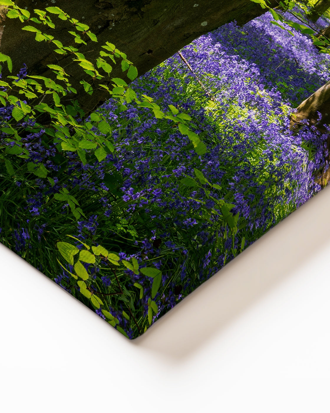 stretched-canvas