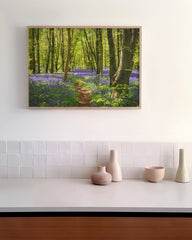 After Hover: Violette Blumen im Wald - Natur Fotografie