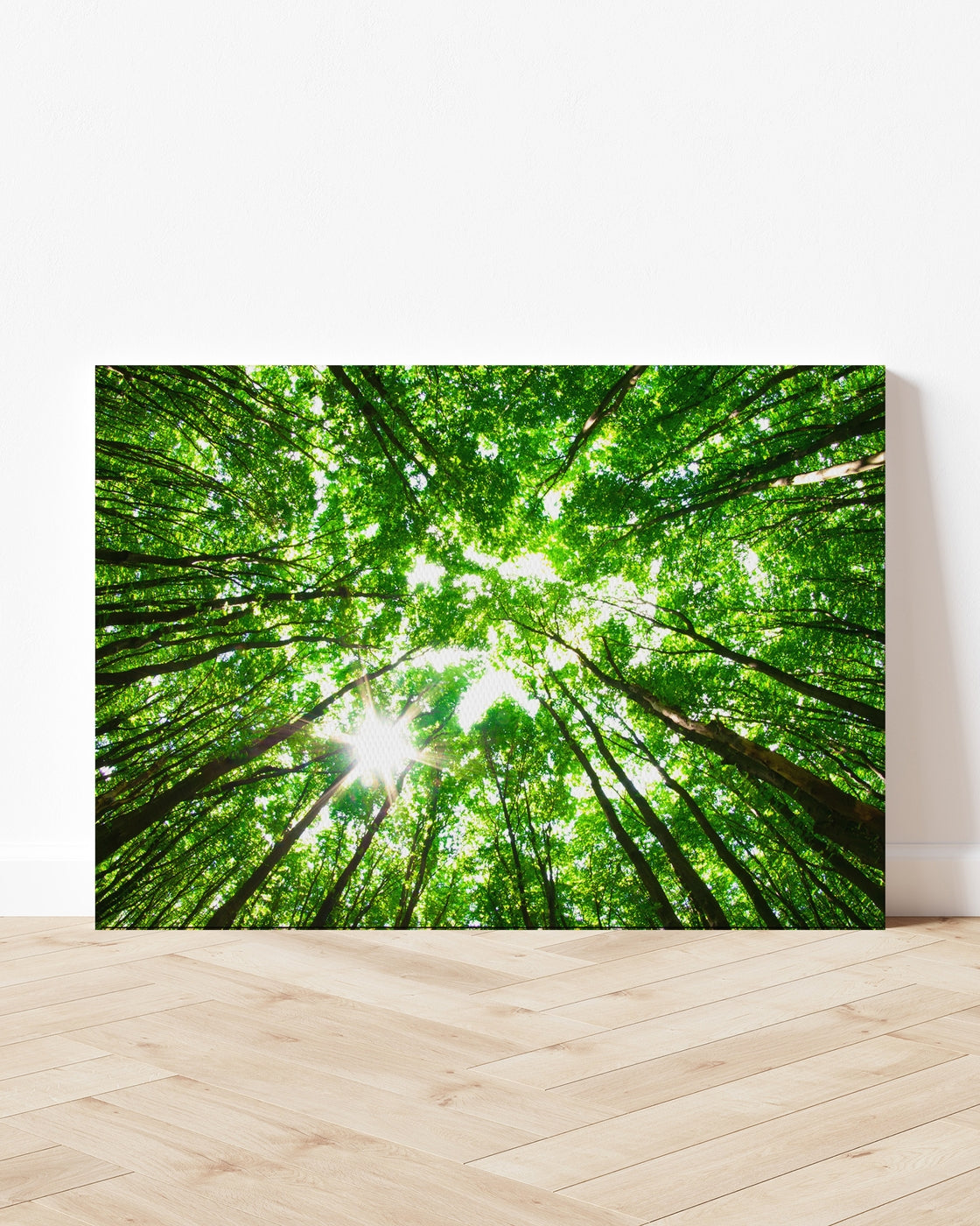 stretched-canvas