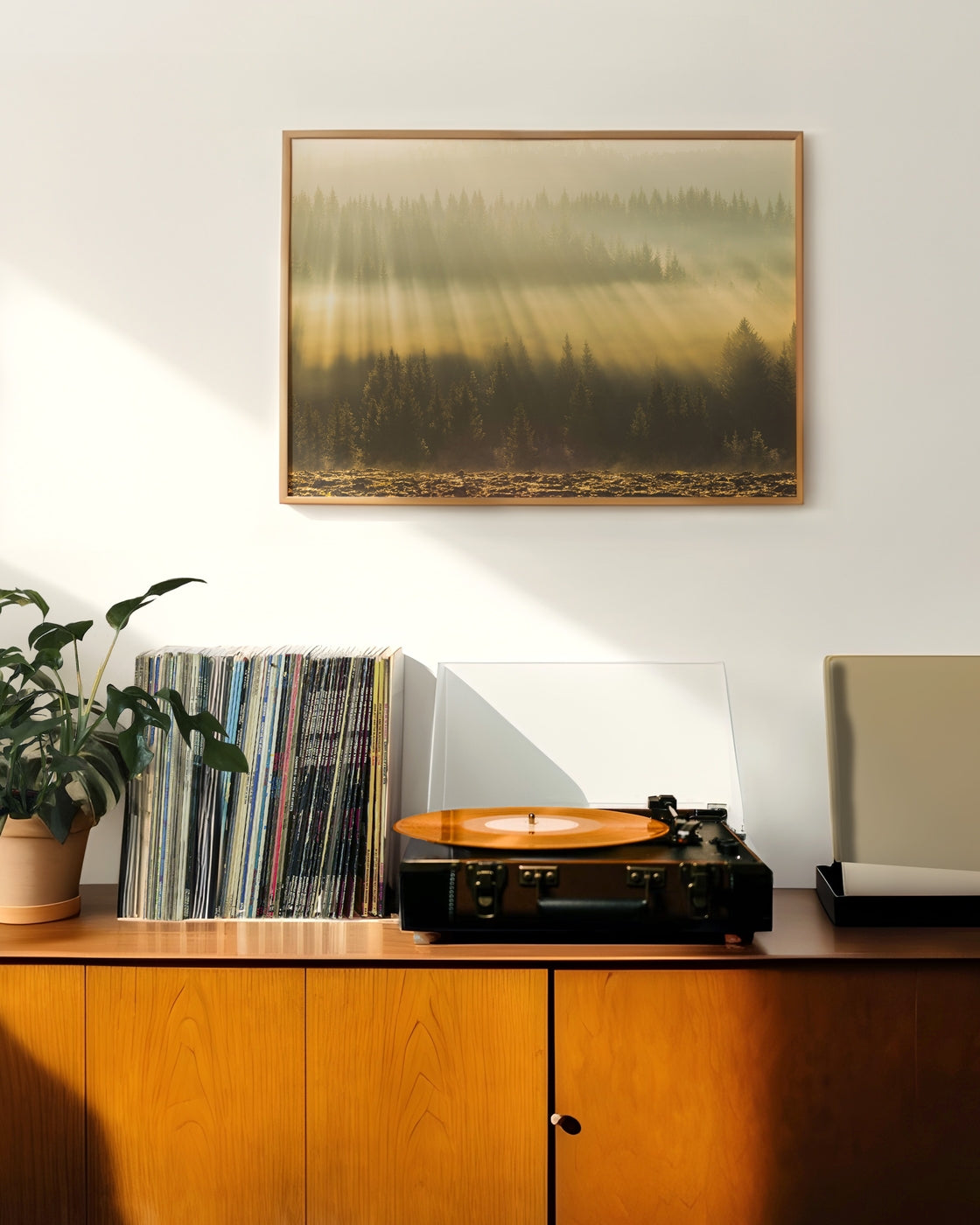 canvas