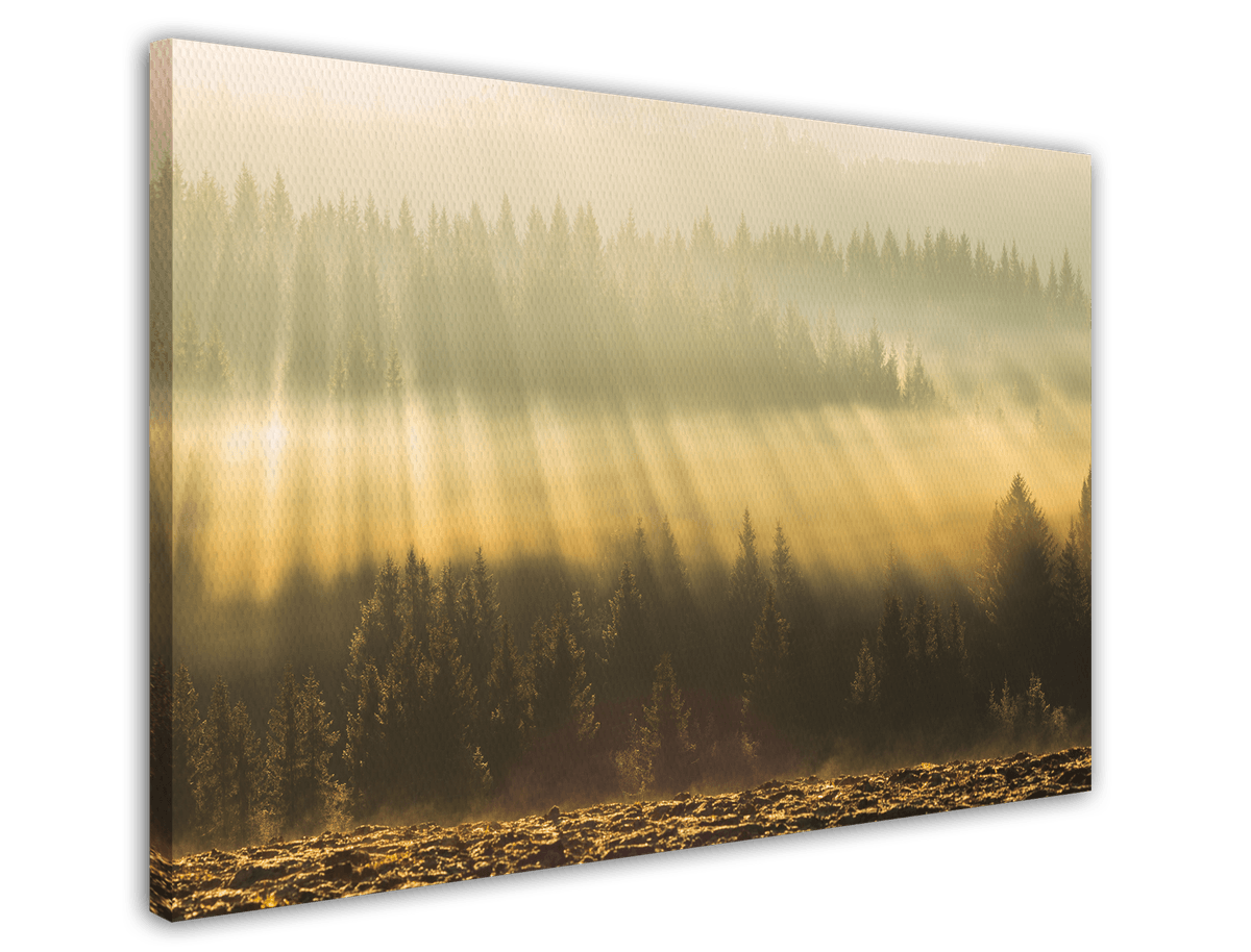 stretched-canvas