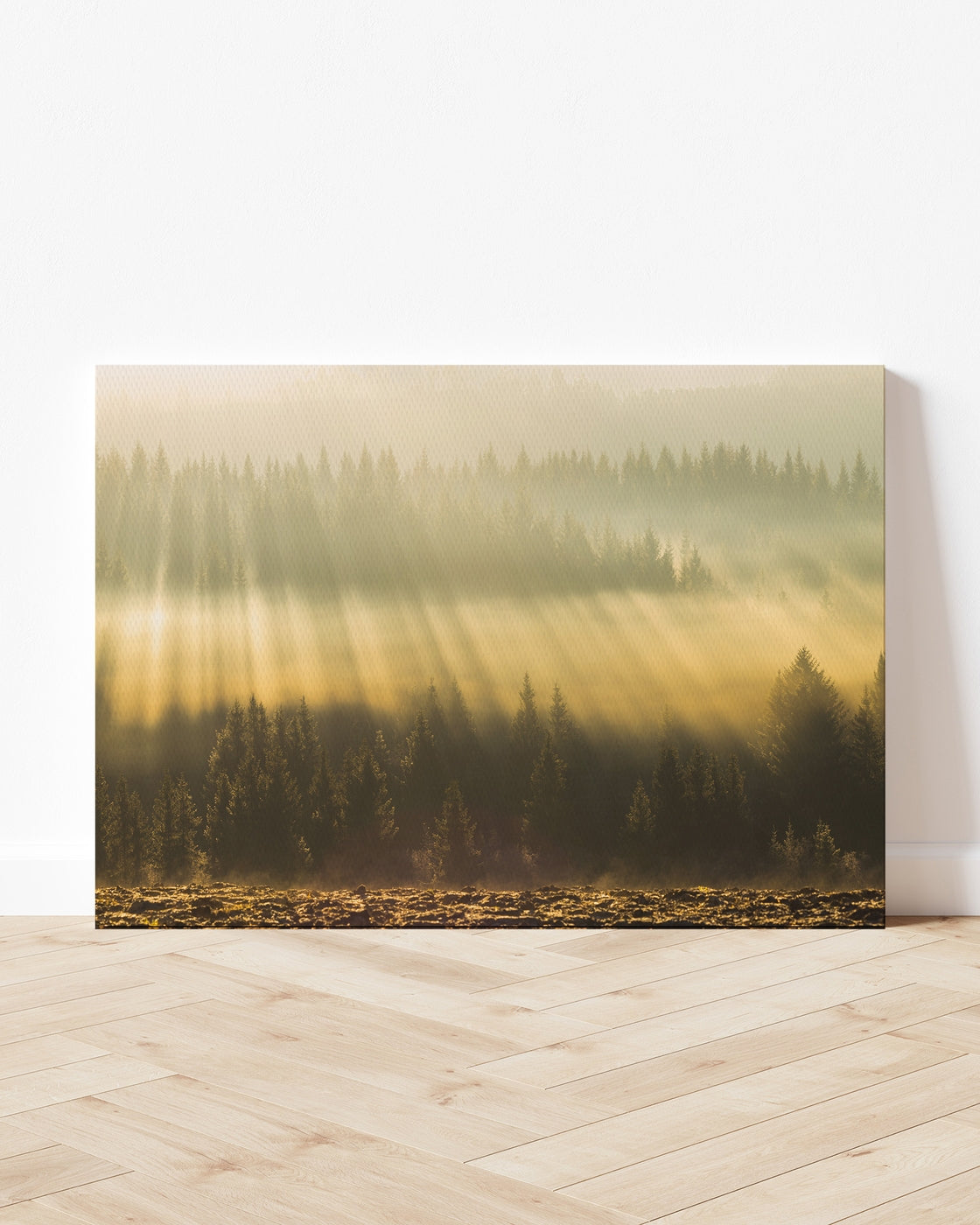 stretched-canvas