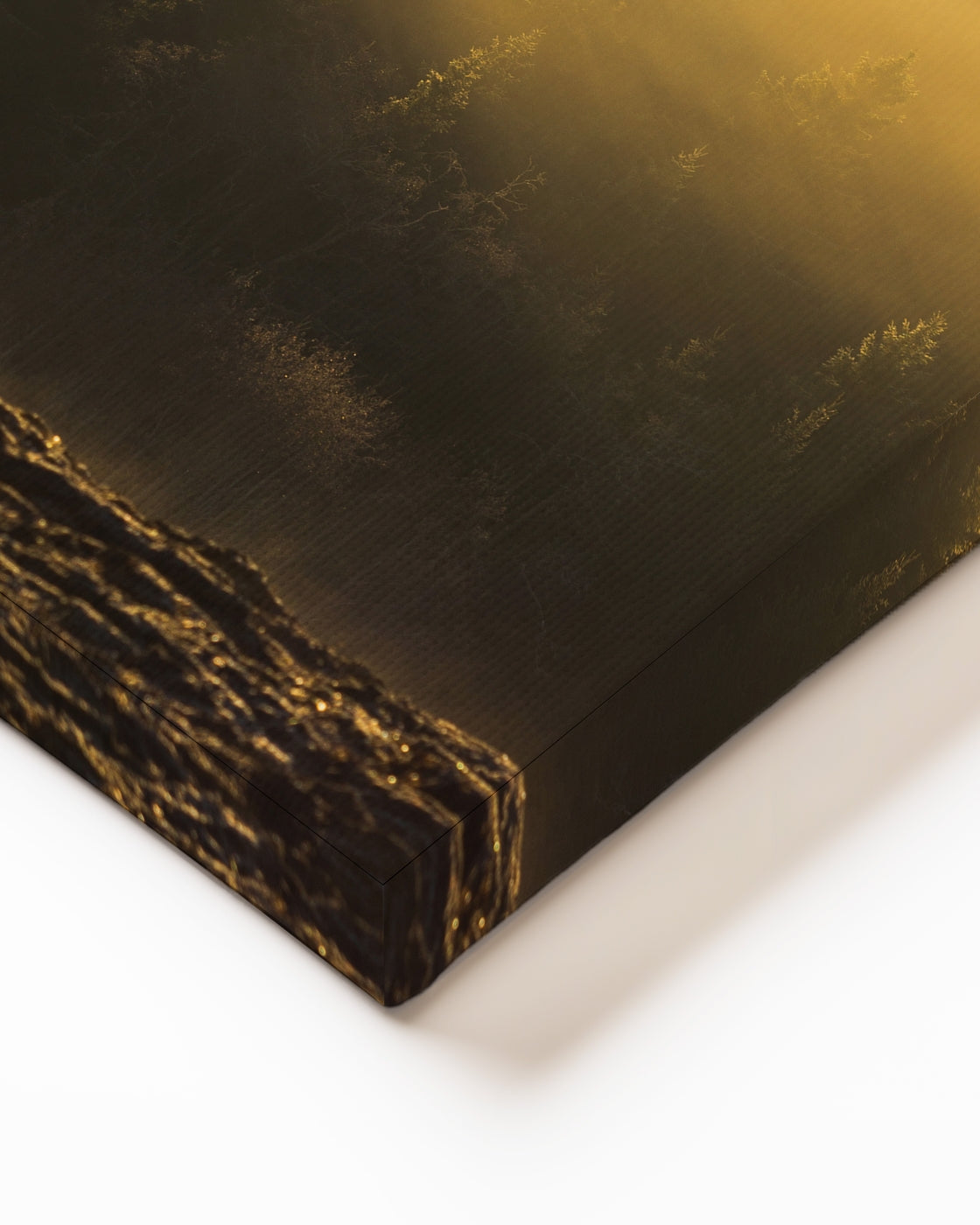 stretched-canvas