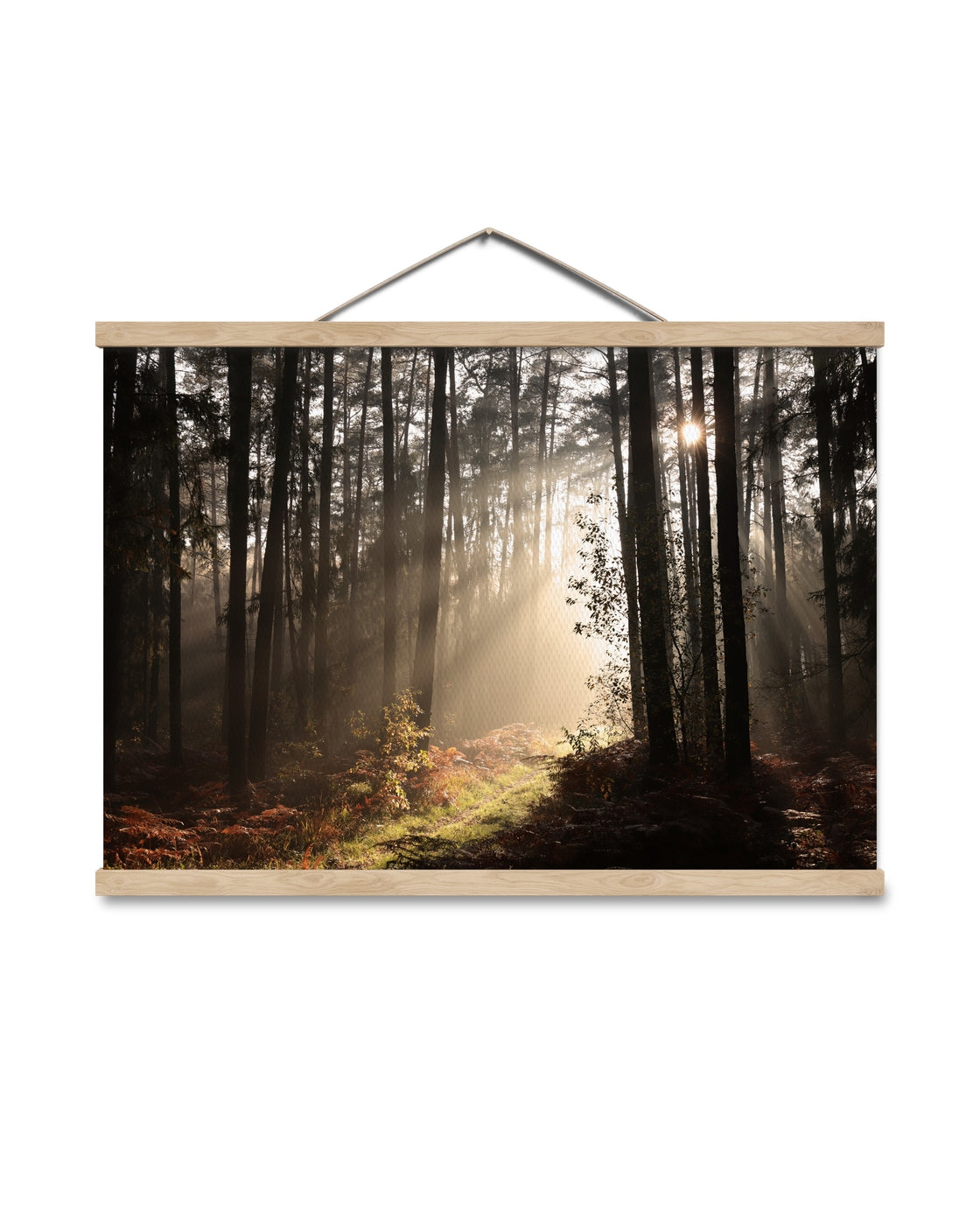 canvas